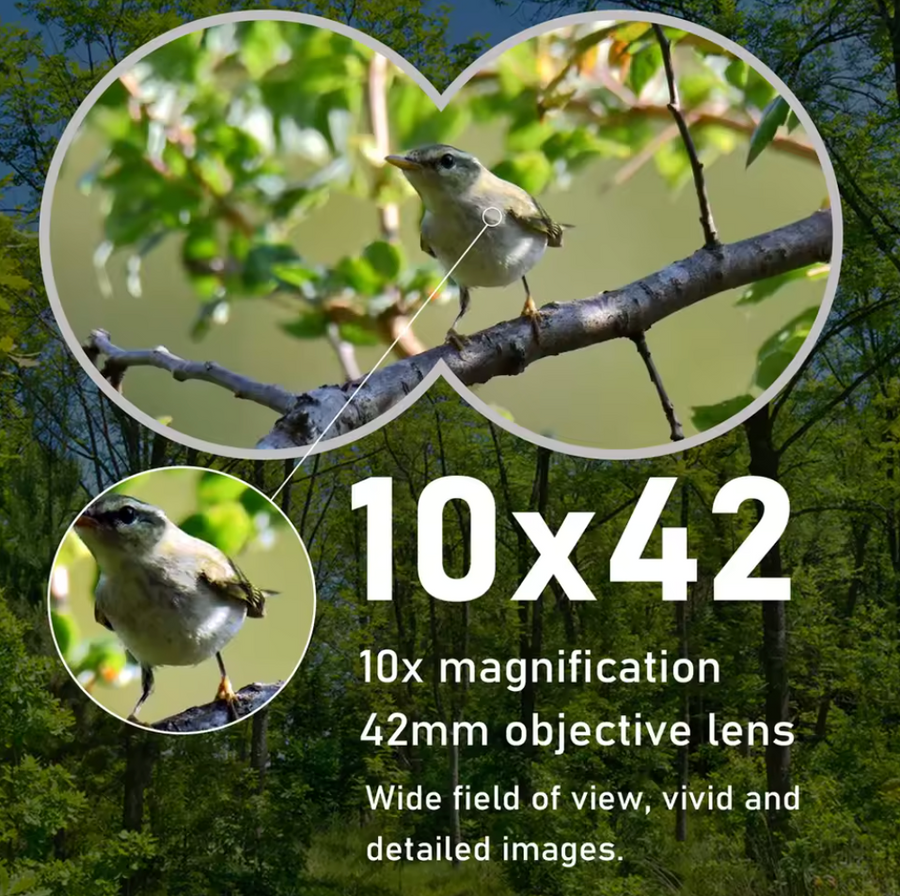 10x42 Binoculars