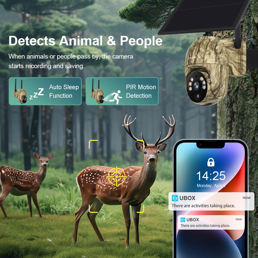 LIVE Trail Camera - Panorama