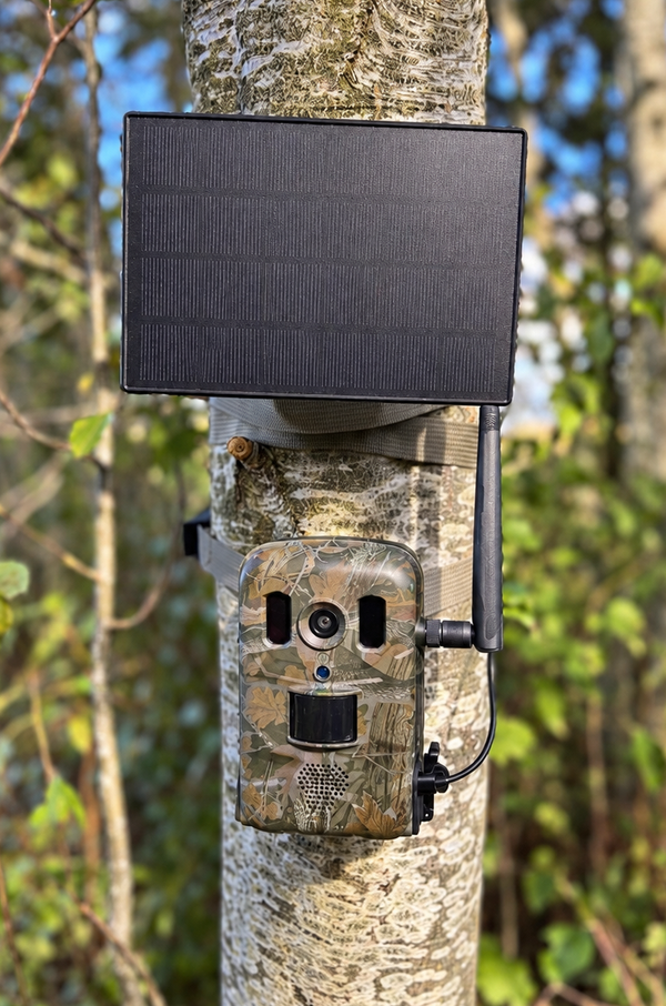 4G Wildkamera LIVE, App und Solarpanel