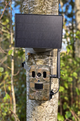 4G Wildkamera LIVE, App und Solarpanel